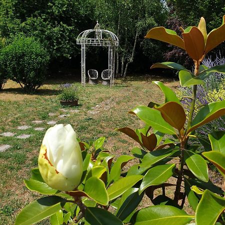 La Maison Des Thermes, Chambre D'Hote Saintes Exterior foto